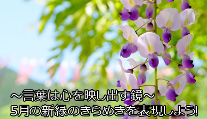 言葉は心を映し出す鏡 5月の新緑のきらめきを表現しよう 高級フルーツギフト 肥後庵の喜ばれる贈り物ブログ